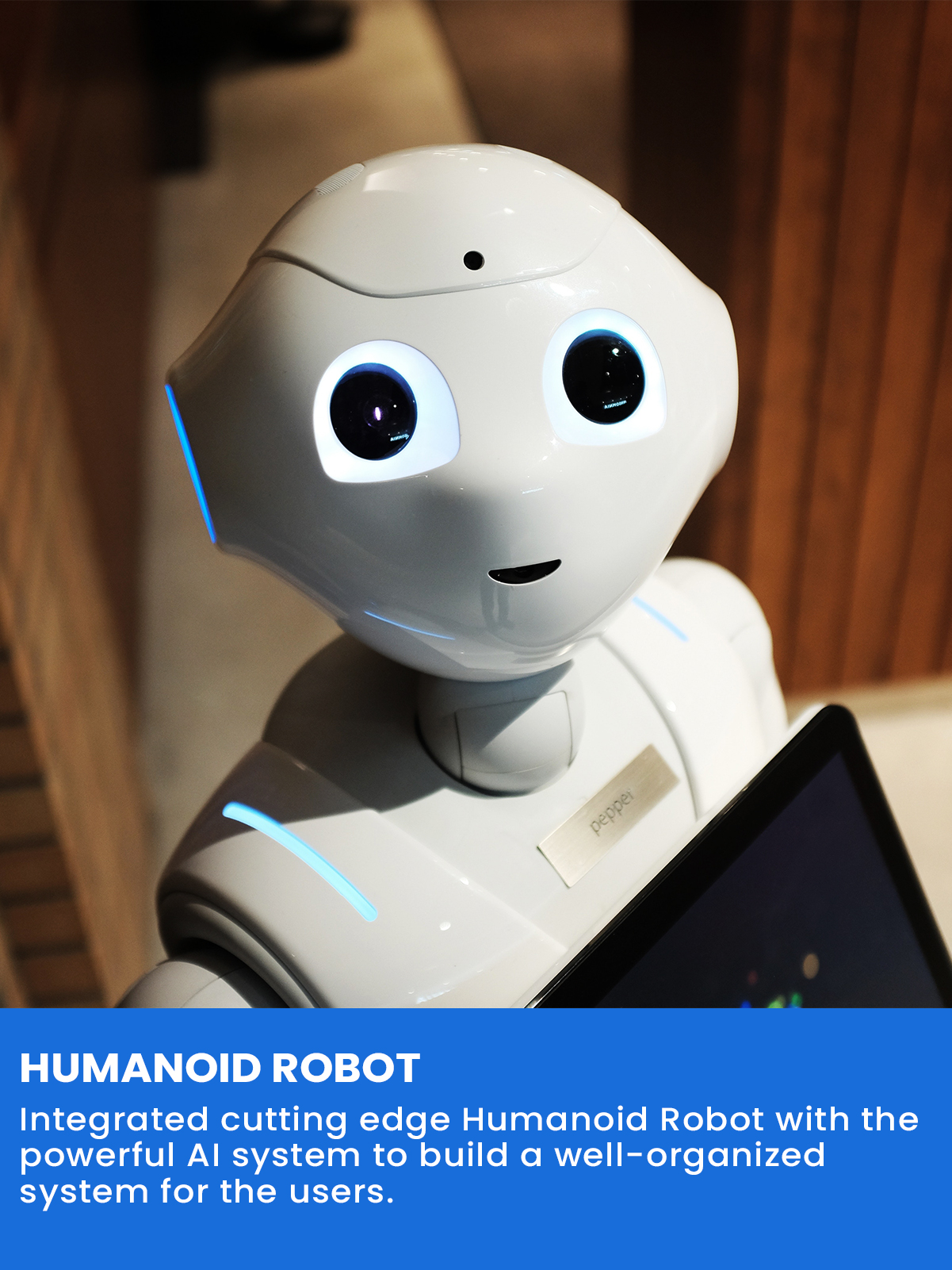 Humanoid Robot